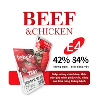 Teb