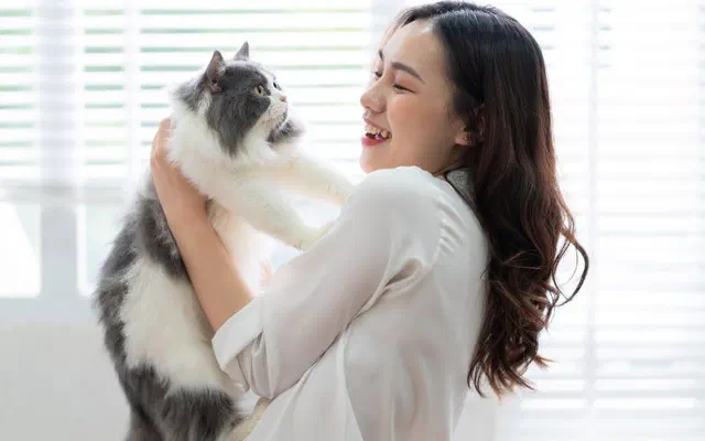 Cách làm quen với mèo | Tổng hợp 12 cách hiệu quả nhất | Cập nhật 2026
