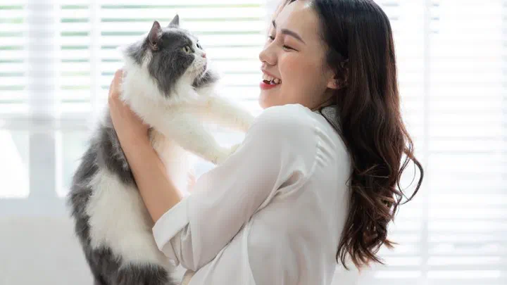Người phụ nữ mỉm cười bế một bé mèo lông dài xám trắng bên cửa sổ sáng