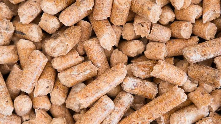 Cận cảnh các viên cát gỗ nén hình trụ màu nâu vàng