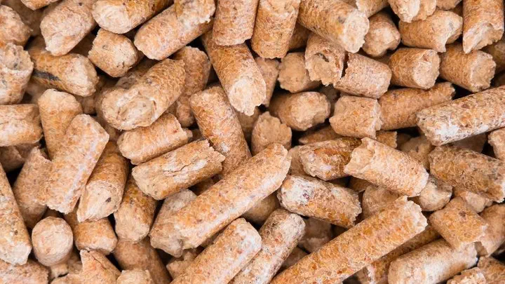 Cận cảnh các viên cát gỗ nén hình trụ màu nâu vàng