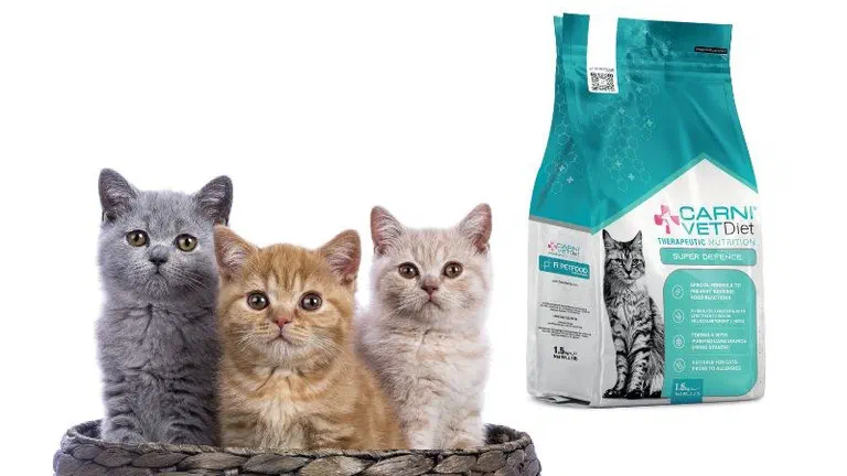 Ba chú mèo con ngồi trong giỏ mây bên cạnh túi hạt Carni Vet Diet Super Defence