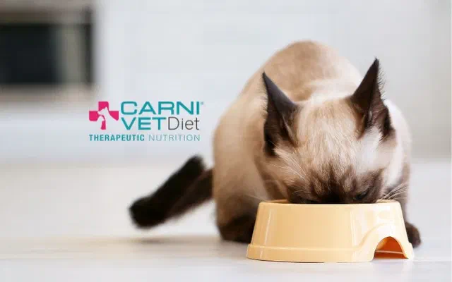 Carni Vet Diet | Thức ăn thú y trị liệu hoàn chỉnh | Cập nhật mới nhất 2026