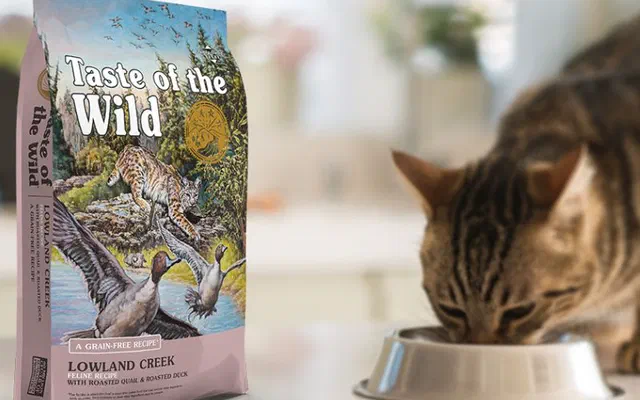 Hạt Taste of the wild cho mèo | Đặc biệt nổi bật | Cập nhật mới nhất 2026