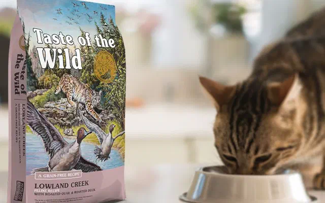 Hạt Taste of the wild cho mèo | Đặc biệt nổi bật | Cập nhật mới nhất 2026