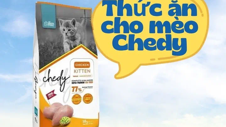 Túi hạt Chedy Chicken Kitten 10kg trên nền trời xanh kèm dòng chữ “Thức ăn cho mèo Chedy”