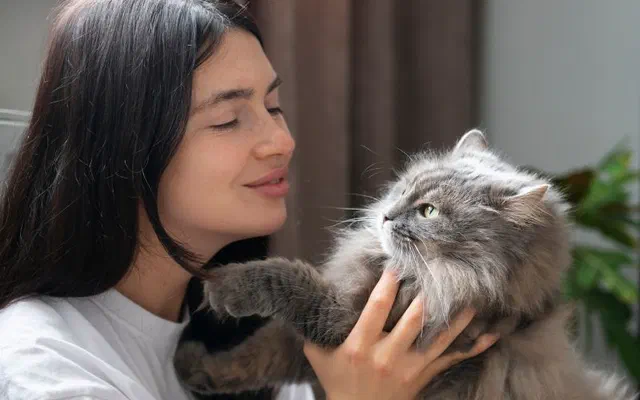 Nuôi mèo có tốt không? Tổng hợp 9 lợi ích khi nuôi mèo
