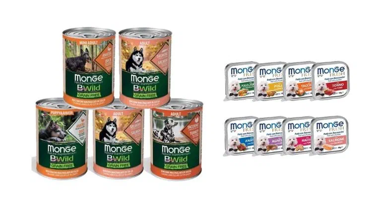 Các lon pate Monge BWild Grain Free và khay pate Monge Fresh thuộc dòng dành cho chó