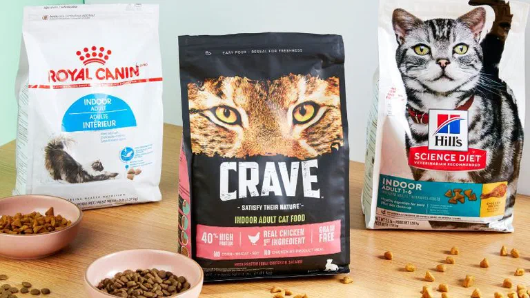Ba túi hạt Royal Canin, Crave và Hills Science Diet bày trên bàn gỗ cùng hai bát hạt